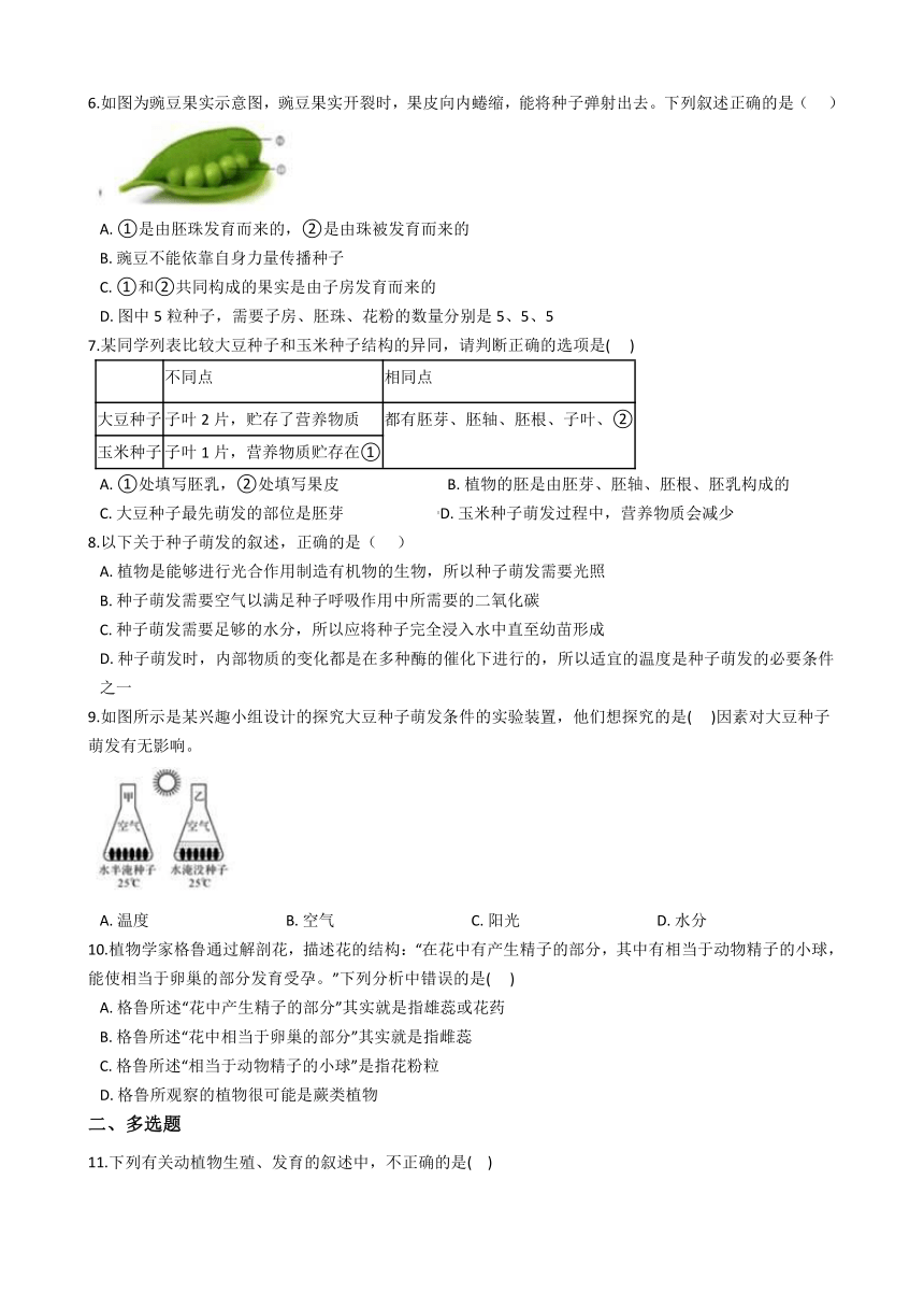 1.4植物的一生 同步练习(含解析)