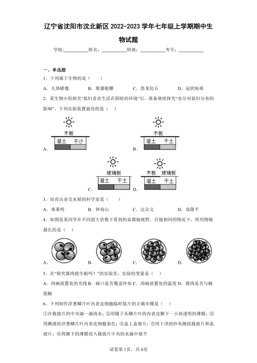 辽宁省沈阳市沈北新区2022-2023学年七年级上学期期中生物试题(含答案)