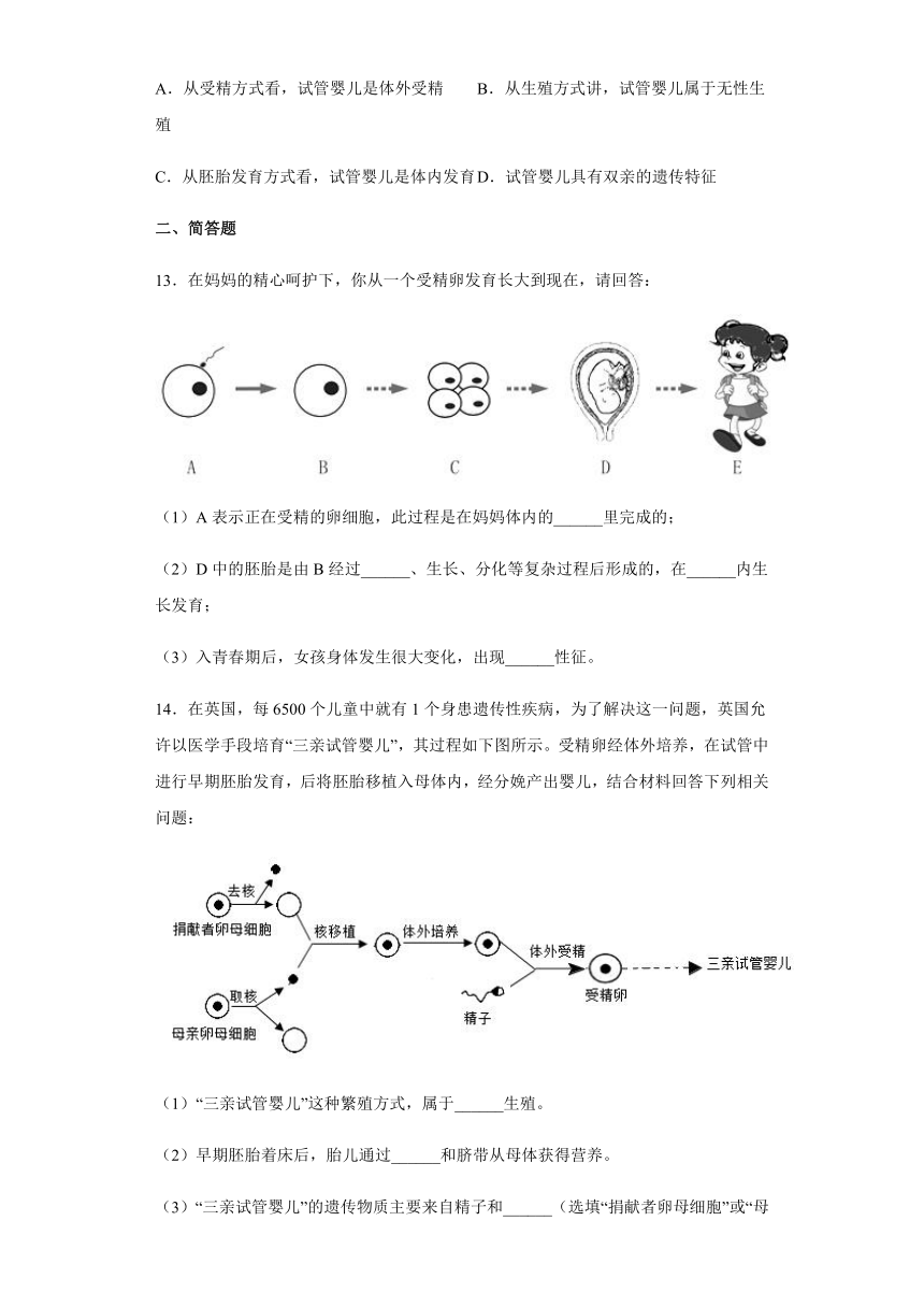 1.1 新生命的诞生 一课一练（含答案）