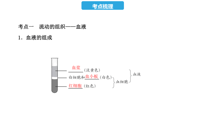 第四单元  第四章  人体内物质的运输-2023年中考生物复习课件（人教版）(共36张PPT)