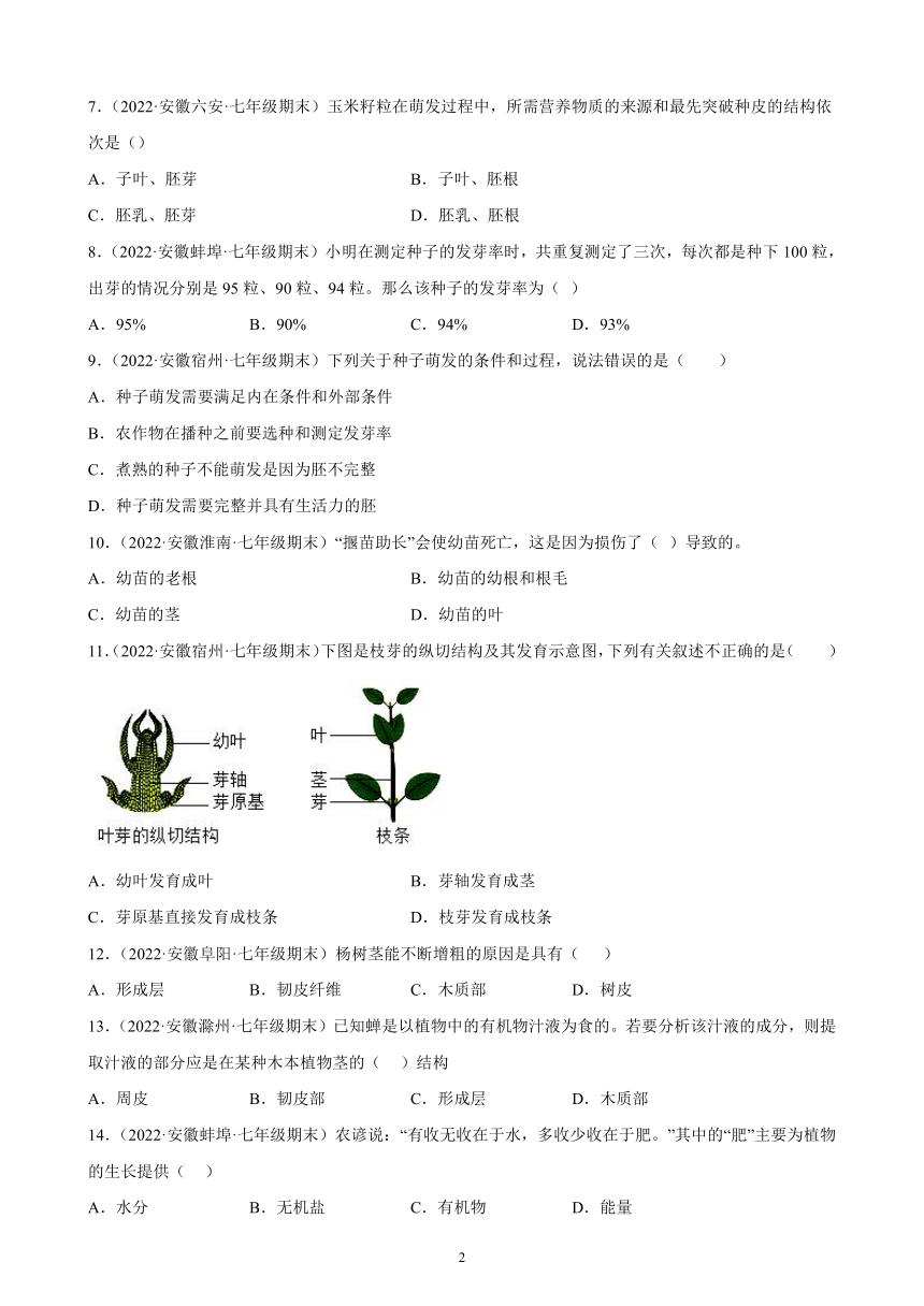 2021-2022学年安徽省各地人教版生物七年级上册 3.2 被子植物的一生 期末试题选编 （含答案）