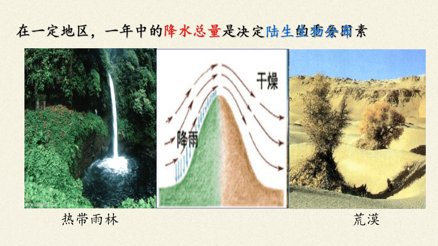 北师大版生物八年级下册 8.23.1 生物的生存依赖一定的环境 课件(共30张PPT)