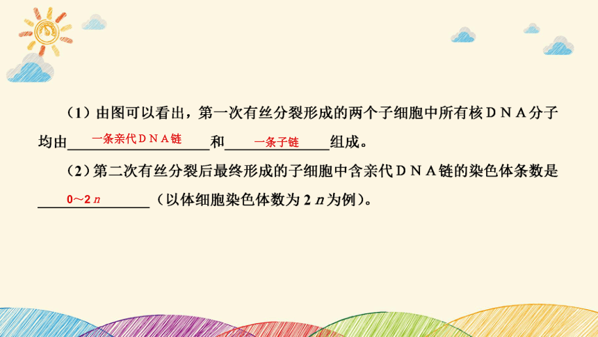 高考生物二轮重点讲练课件：科学思维之微专题2 结合同位素标记研究细胞分裂中的ＤＮＡ复制(共23张PPT)