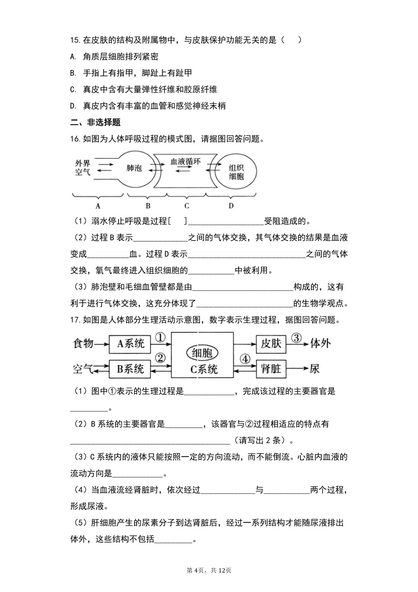 七年级上册期末复习练习题(word版含解析）