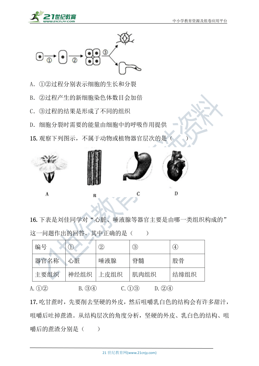 七年级上册生物第二单元测试题(含答案）