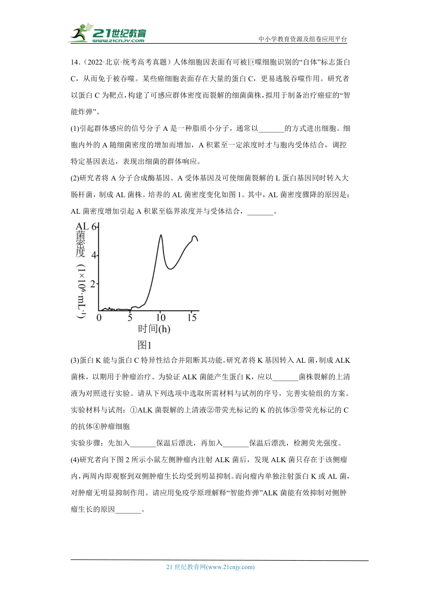 五年2018-2022高考生物真题按知识点分类汇编66-免疫调节-特异性免疫-细胞免疫（含解析）