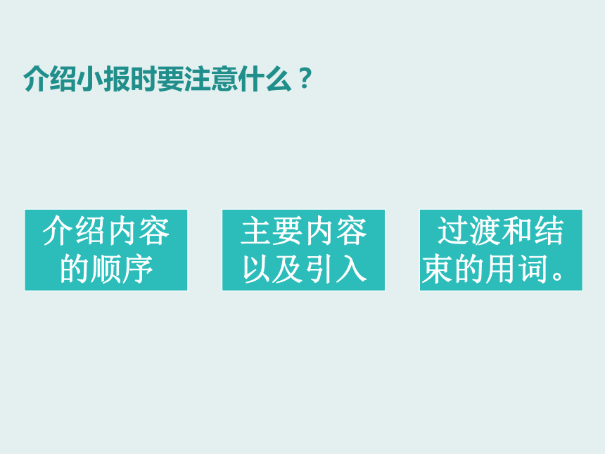 第24课 争当小评委——电子小报的评价 课件（13张PPT）