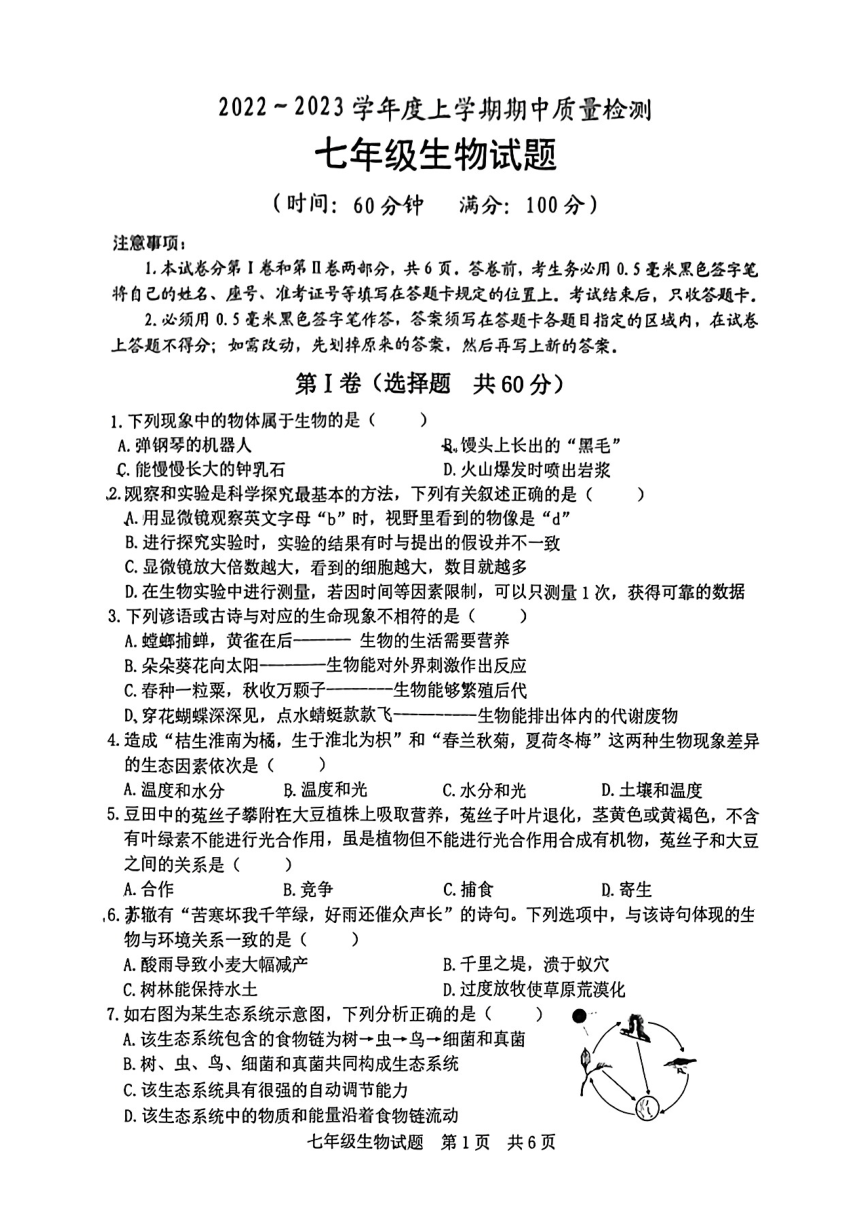 山东省日照市北京路中学2022-2023七年级上学期期中生物试卷（PDF版无答案）