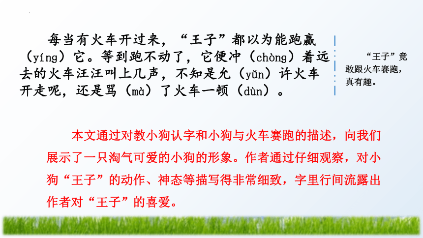 统编版三年级上册第五单元 习作：我们眼中的缤纷世界 课件 (共33张PPT)