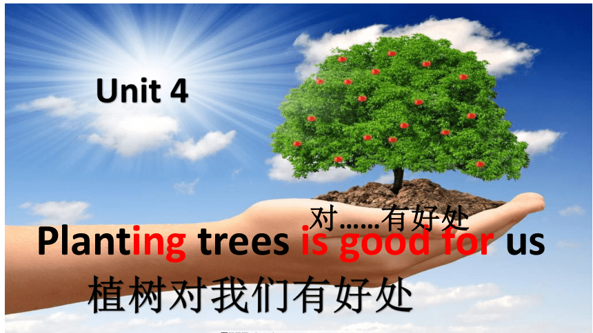 Unit 4 Planting trees is good for us 课件（共23张ppt）