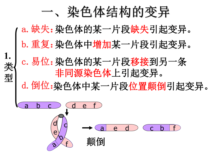 2020-2021学年高一下学期生物人教版必修二5.2染色体变异课件