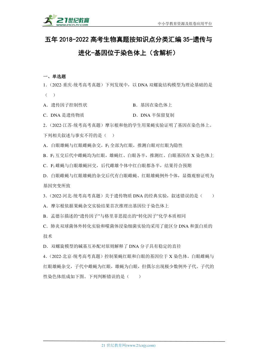 五年2018-2022高考生物真题按知识点分类汇编35-遗传与进化-基因位于染色体上（含解析）