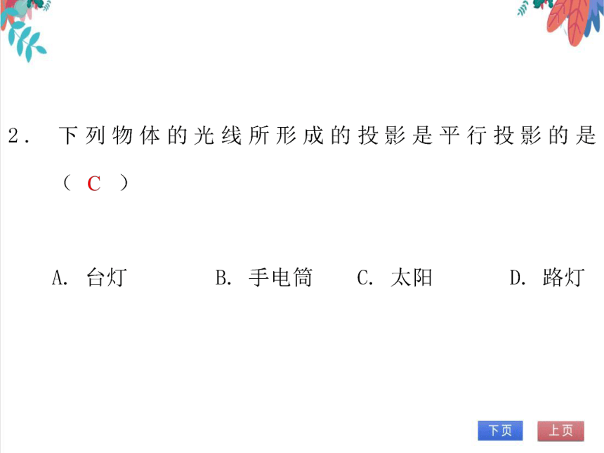 【北师大版】数学九（上）第5章 投影与视图 期末复习学案（课件版）