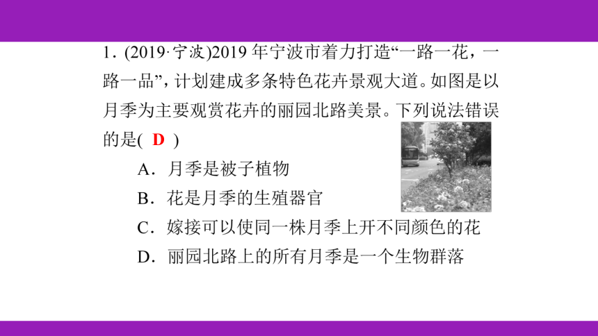 2023浙江中考一轮复习 第3课时 种群、群落和生态系统（课件 60张ppt）