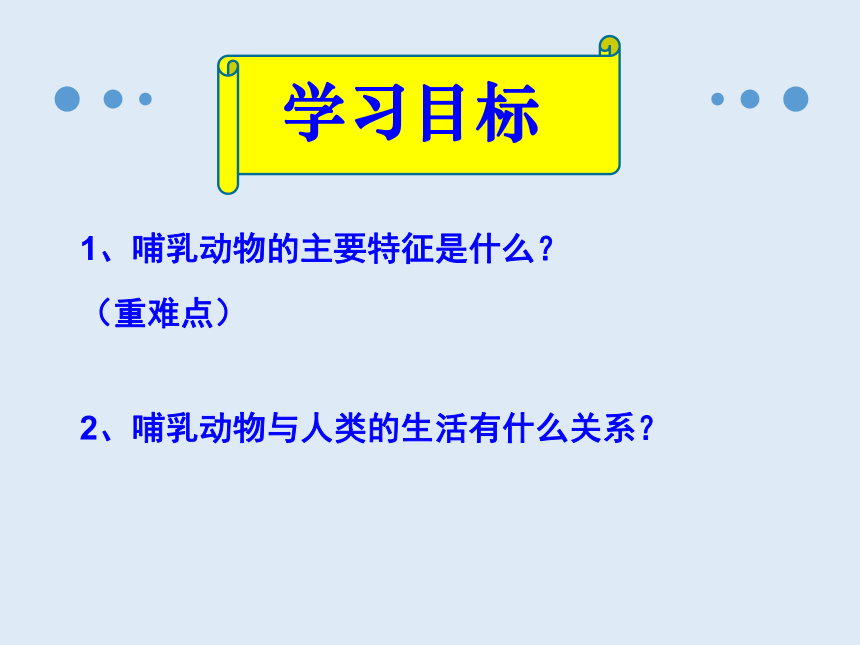 人教版八年级生物 上册第五单元 第一章 第七节 哺乳动物 课件（共42张PPT）