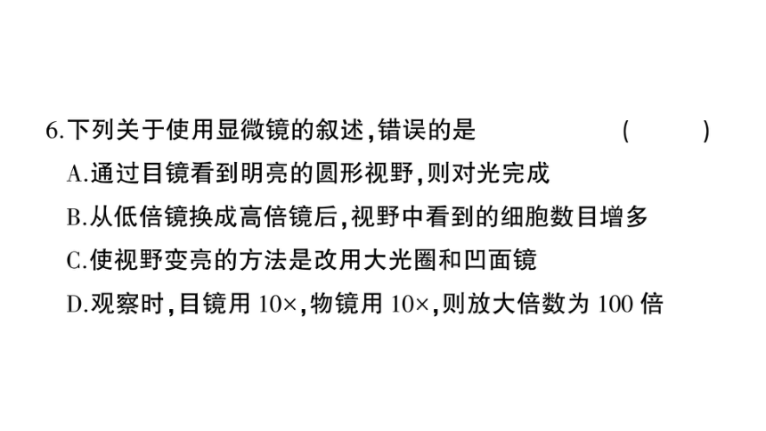 湖南吉首市第二初级中学2022-2023学年七年级生物上册期末综合检测卷课件（41张PPTt)