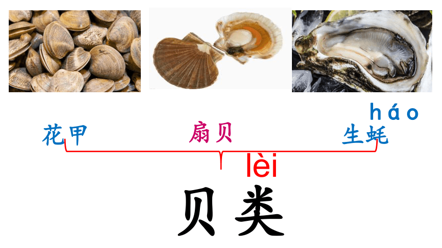 识字 3“贝”的故事     课件(共20张PPT)