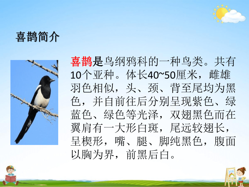 9 枫树上的喜鹊 课堂教学课件（22张）