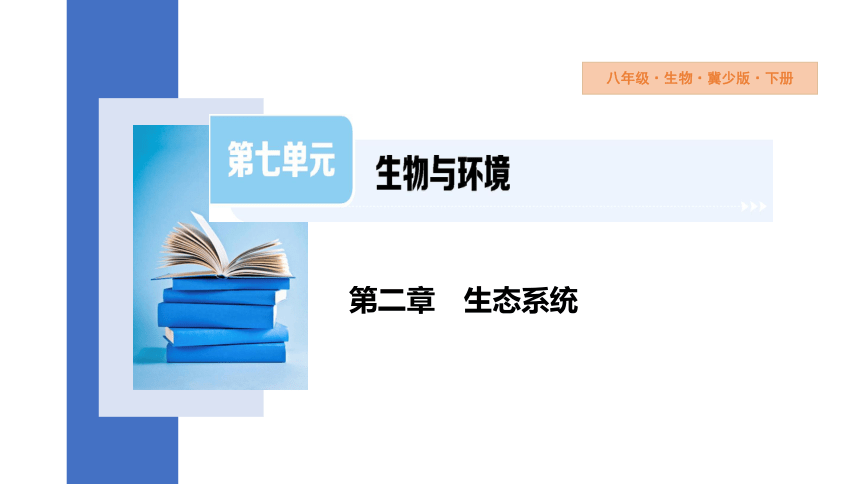 7.2.2 食物链和食物网课件(共24张PPT)2023-2024学年初中生物冀少版八年级下册