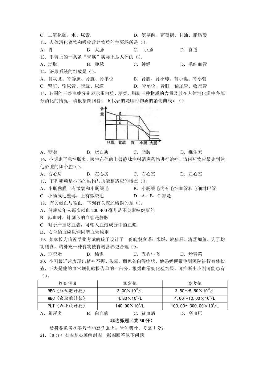 河南省新乡市长垣市2022-2023学年七年级下学期期中生物试题（含答案）