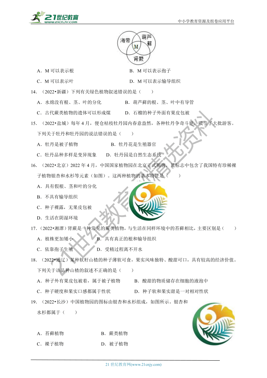 【备考2023】2022年中考生物真题分类汇编12——植物的分类部分（含解析）