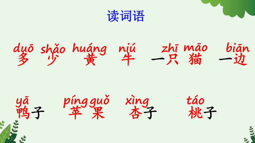 7 大小多少 课件 2课时(共47张PPT)