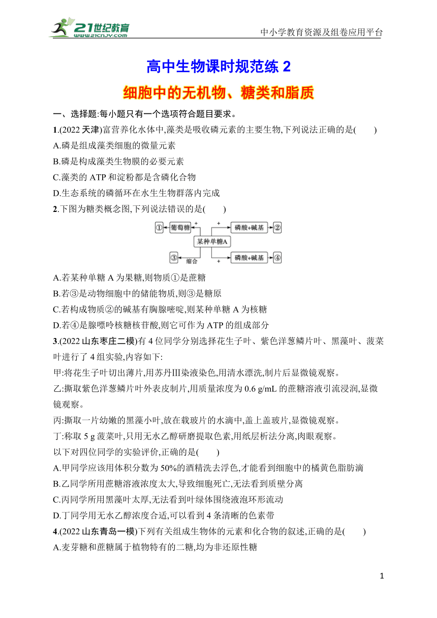 高中生物课时规范练2　细胞中的无机物、糖类和脂质(学生版含答案详解)