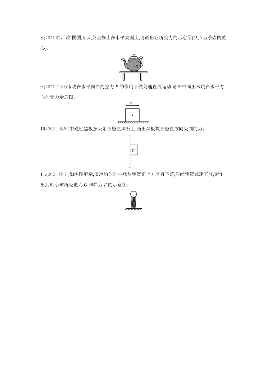 北师大版物理八年级下册课课练：专题训练 力的示意图 （含答案）