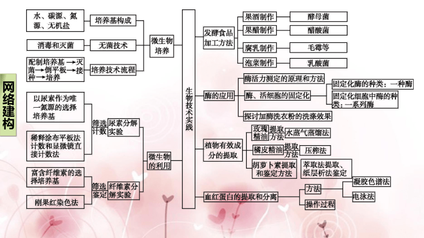 【二轮专题复习课件】第16讲　生物技术实践(共114张PPT)