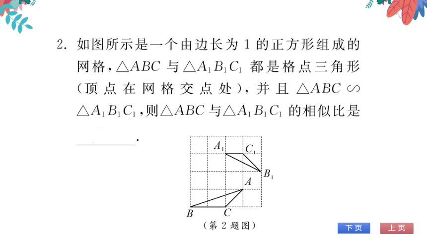 【华师大版】数学九年级上册 23.3.1 相似三角形 习题课件