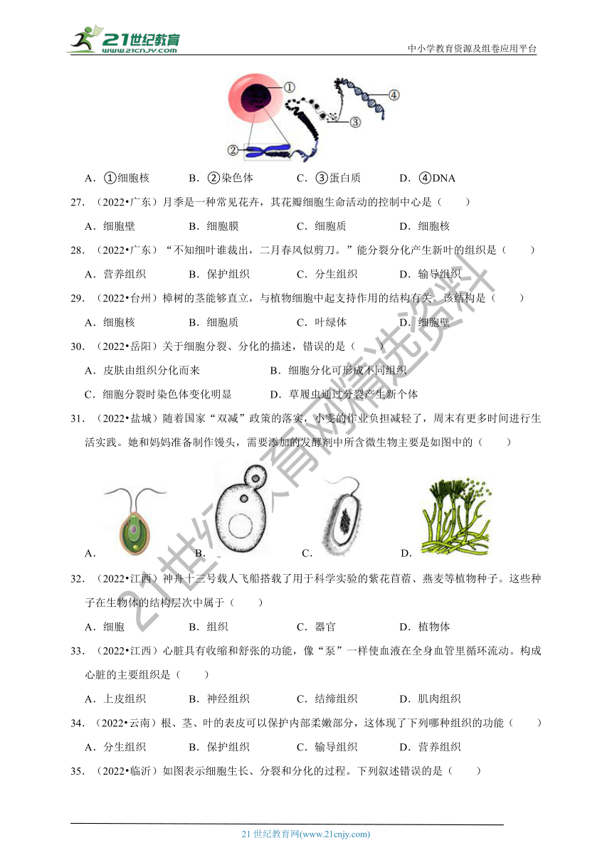 【备考2023】2022年中考生物真题分类汇编1——生物的结构层次部分（含解析）