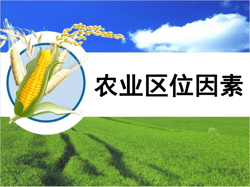 3.1农业区位因素课件(共31张PPT)