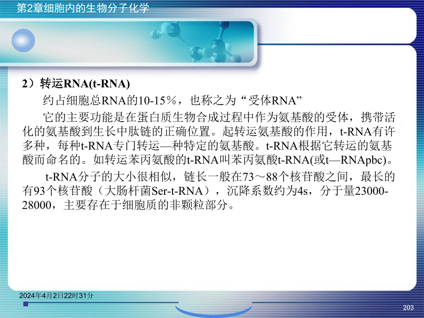 2.5核酸化学 课件(共47张PPT）- 《环境生物化学》同步教学（机工版·2020）