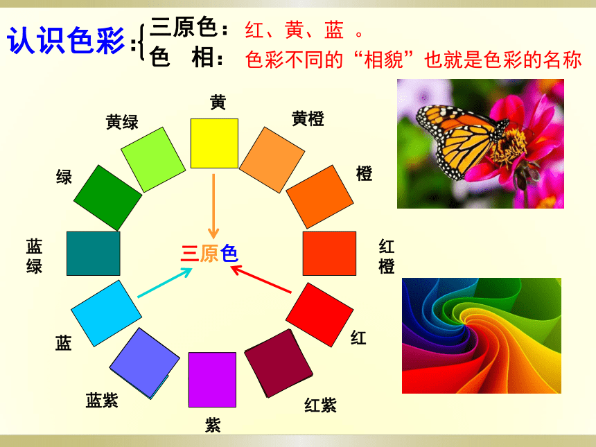 人教版七下 2.1色彩的魅力 课件（25张）