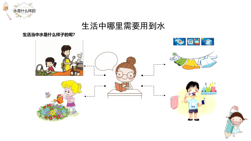 苏教版（2017秋）一年级下册科学2.4 水是什么样的 （课件共15张PPT）