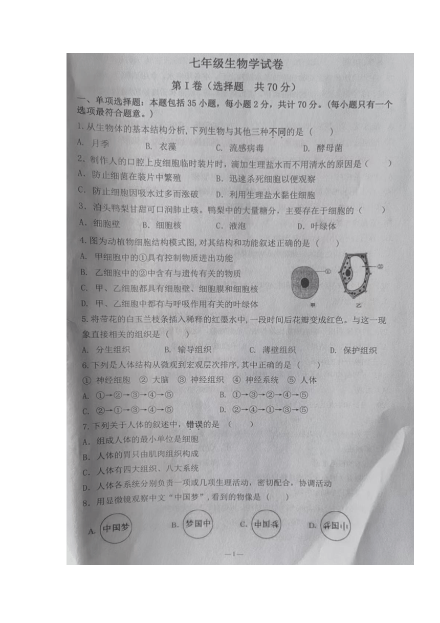江苏省丹阳市2022-2023学年七年级下学期期中生物试卷（图片版无答案）