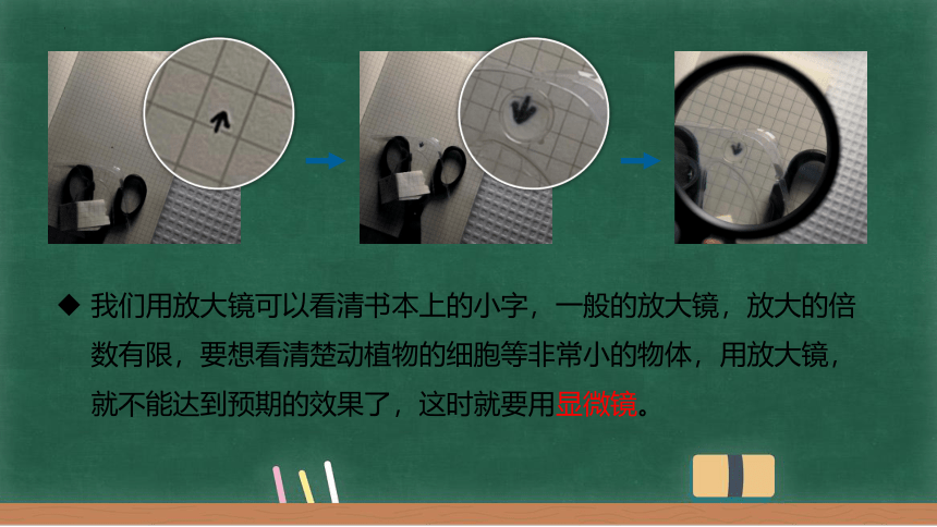 5.5 显微镜和望远镜课件 2022-2023学年人教版物理八年级上册(共18张PPT)