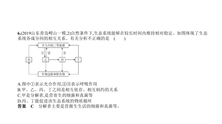 2023年中考生物复习专题★★　综合部分