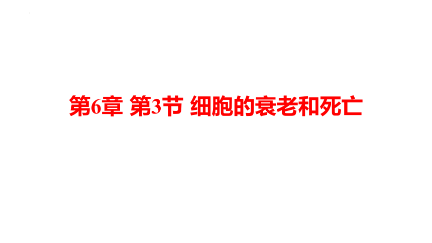 生物人教版（2019）必修1 6.3细胞的衰老和死亡（共20张ppt）