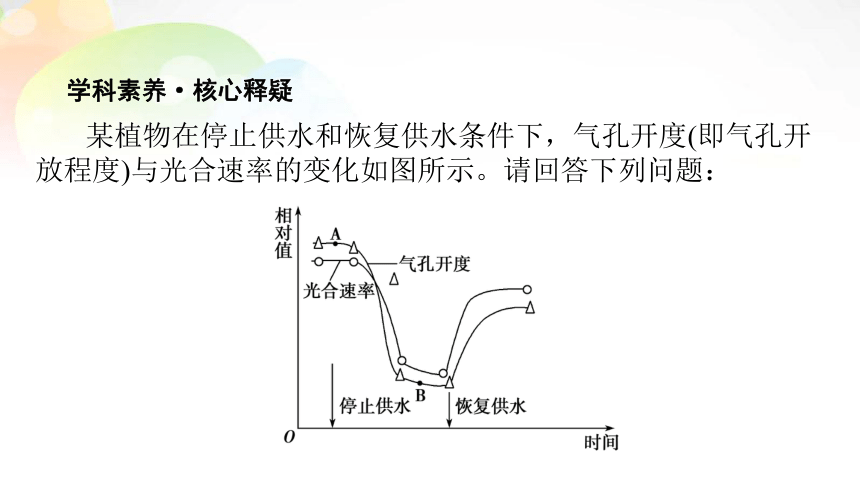 必修1 第3单元 第3讲 能量之源——光与光合作用 课末总结(共35张PPT）