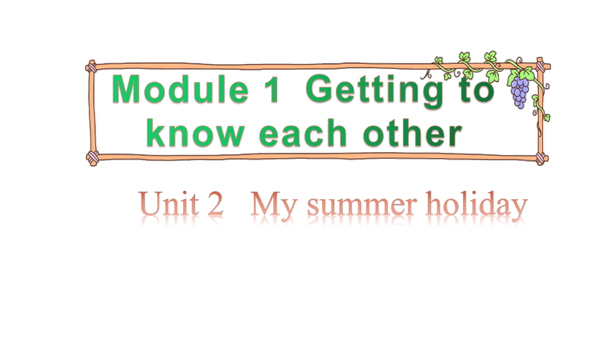 Module 1  Unit 2   My summer holiday  第3课时 课件(23张ppt)