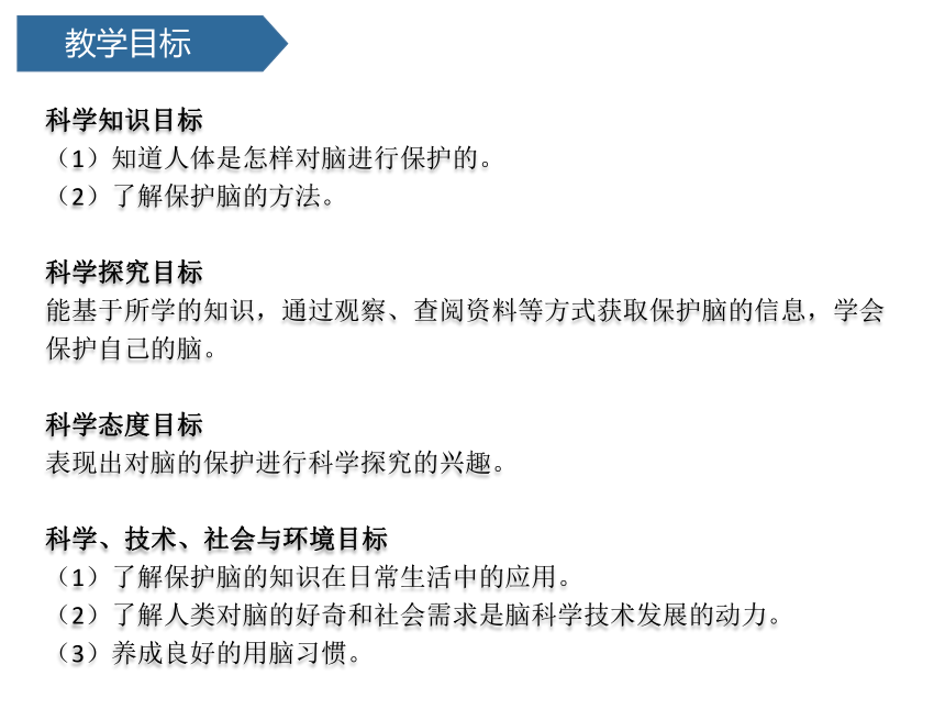 青岛版（六三制2017秋 ）五年级下册1.3保护脑  课件（18ppt）