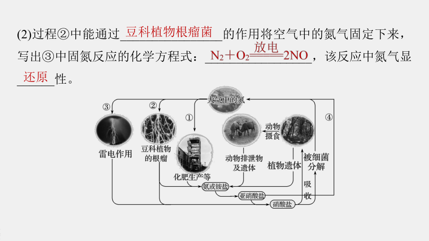 高中化学苏教版（2019）必修第二册 专题7 第一单元 氮的固定（66张PPT）
