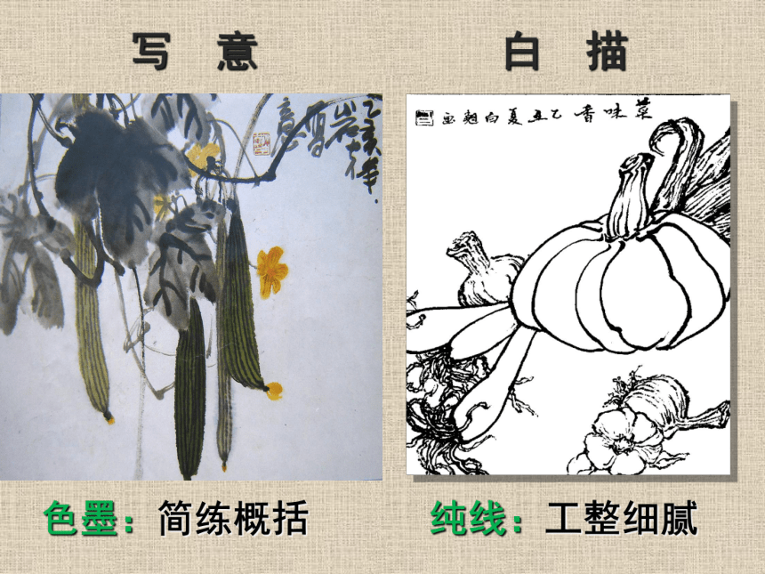 第17课蔬果白描 课件(共29张PPT)人美版（北京） 五年级上册美术