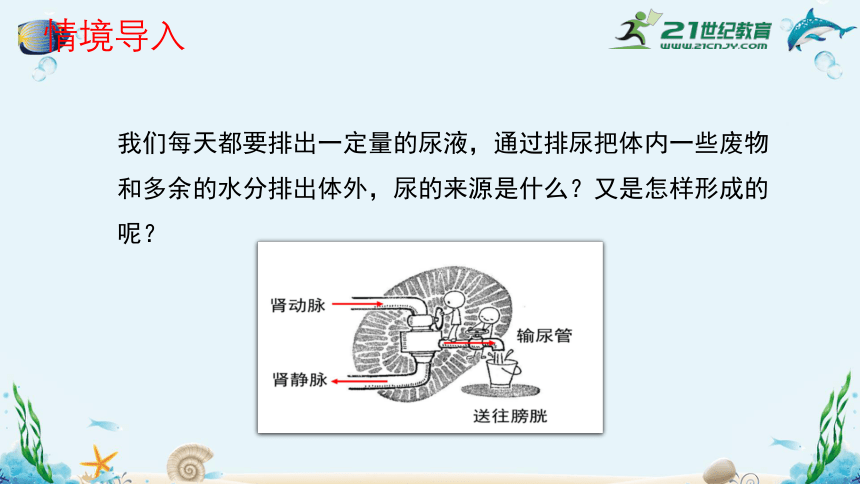 人教版七年级生物下册4.5人体内废物的排出（共35张）