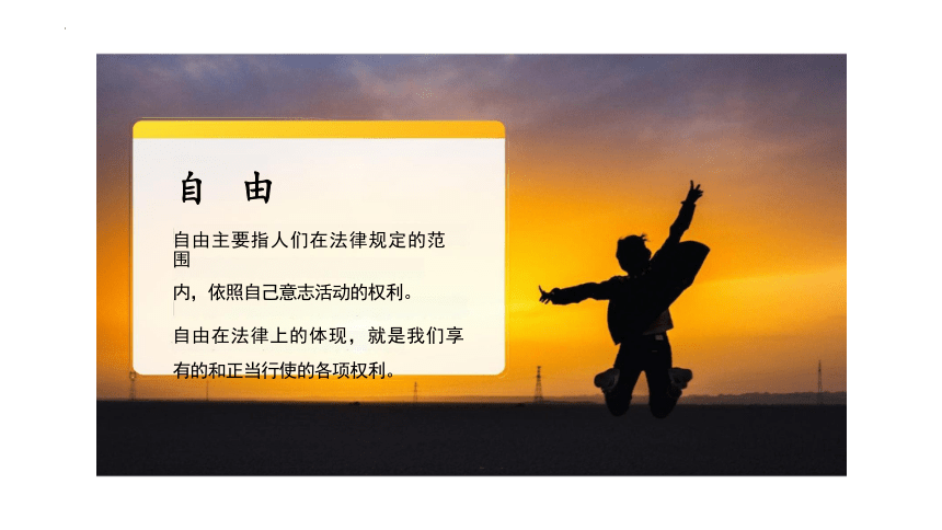 7.1 自由平等的真谛 课件(共22张PPT)-2023-2024学年统编版道德与法治八年级下册