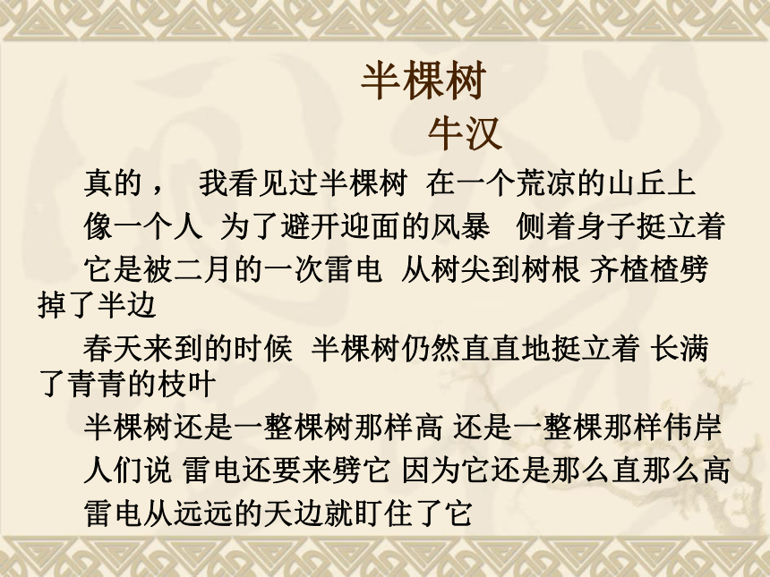 人教版高中语文选修--中国现代诗歌散文欣赏《半棵树》课件(共18张PPT)