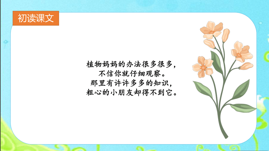 3植物妈妈有办法 课件 (共21张PPT)