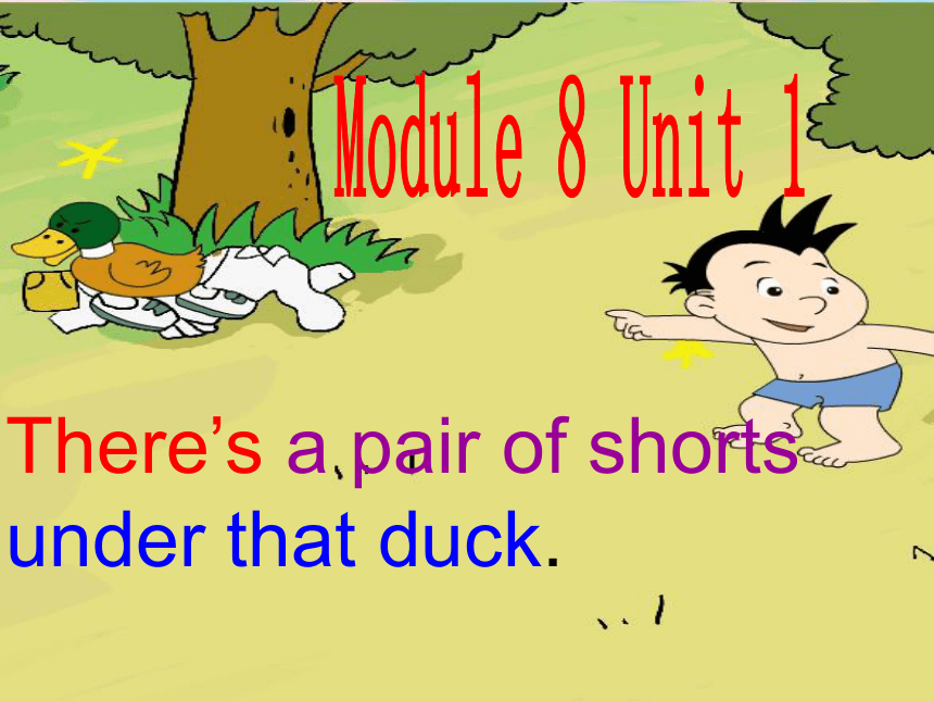 Module 8 unit 1 There's a pair of shorts under that duck. 课件 (共29张PPT)