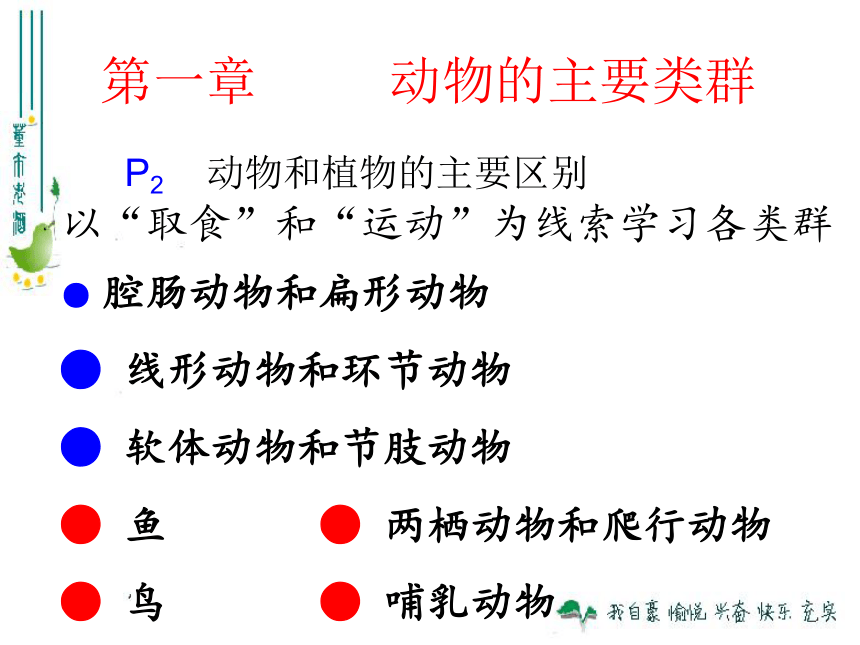 5.1.1腔肠动物和扁形动物课件（共19张PPT）2022--2023学年人教版生物八年级上册